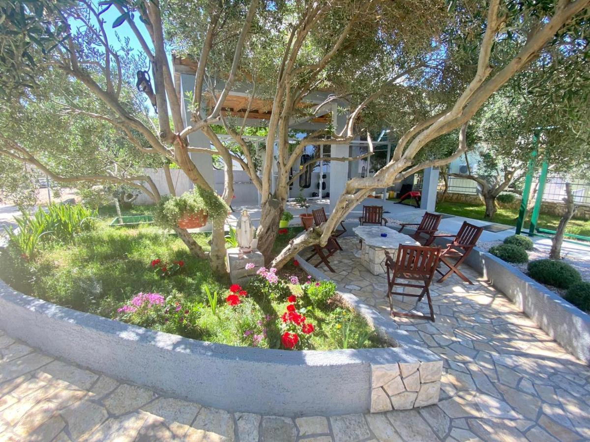 נובליה Apartments King - City Center מראה חיצוני תמונה